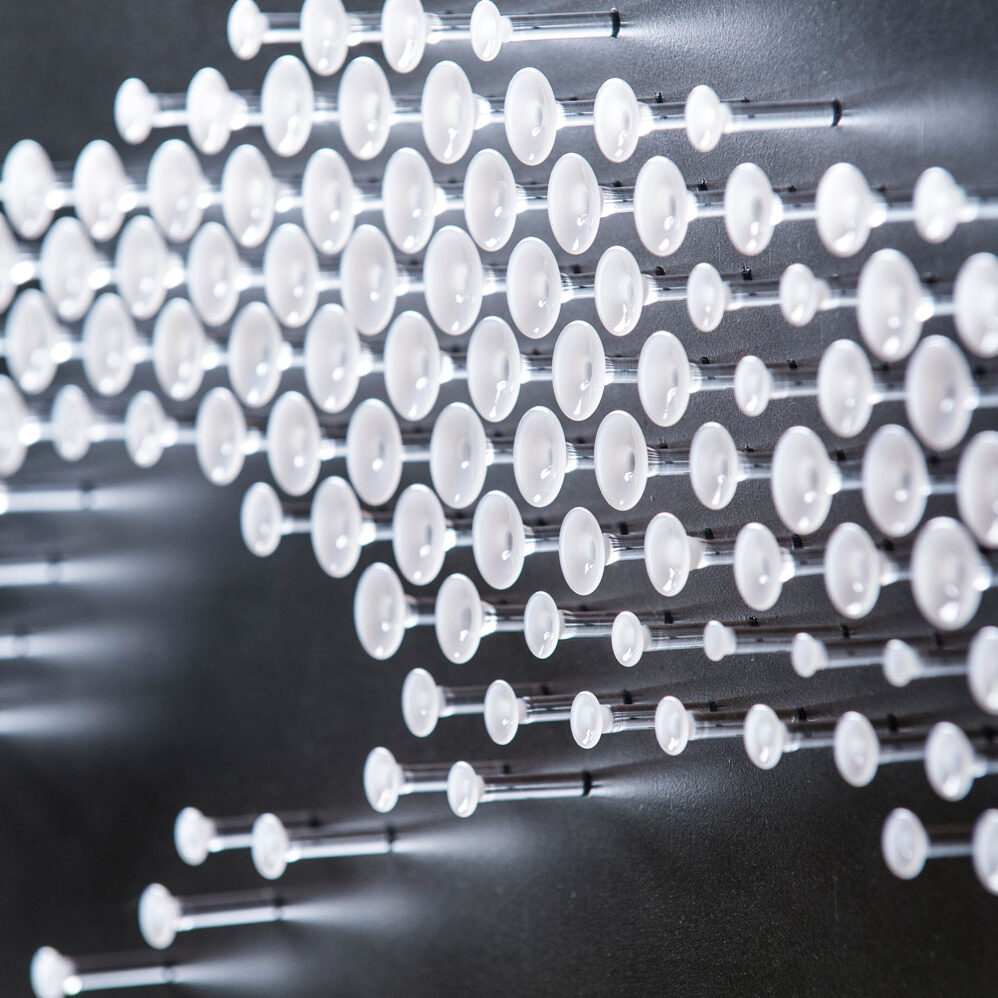 David-Alper-Biggie_closeup-2