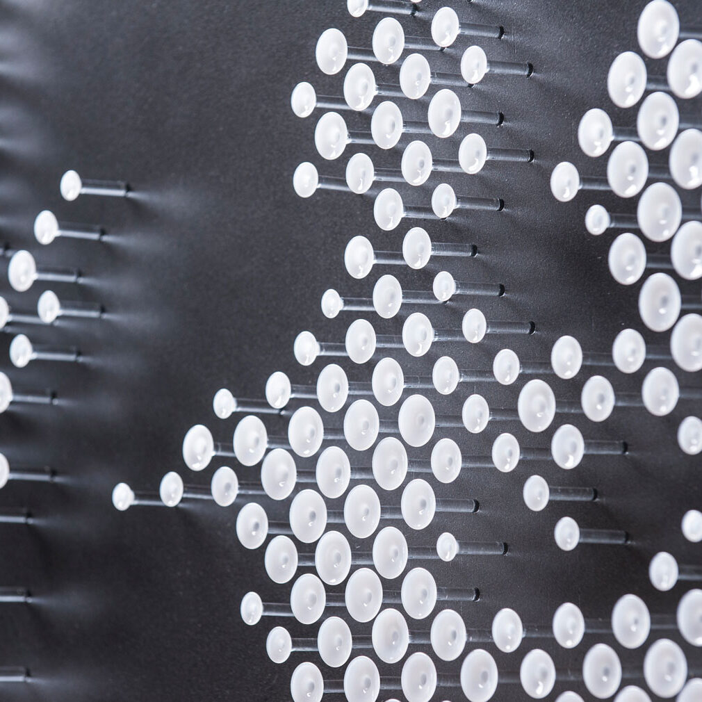 David-Alper-Biggie_closeup